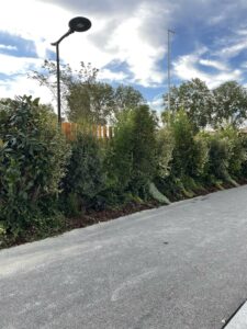 Location de plantes